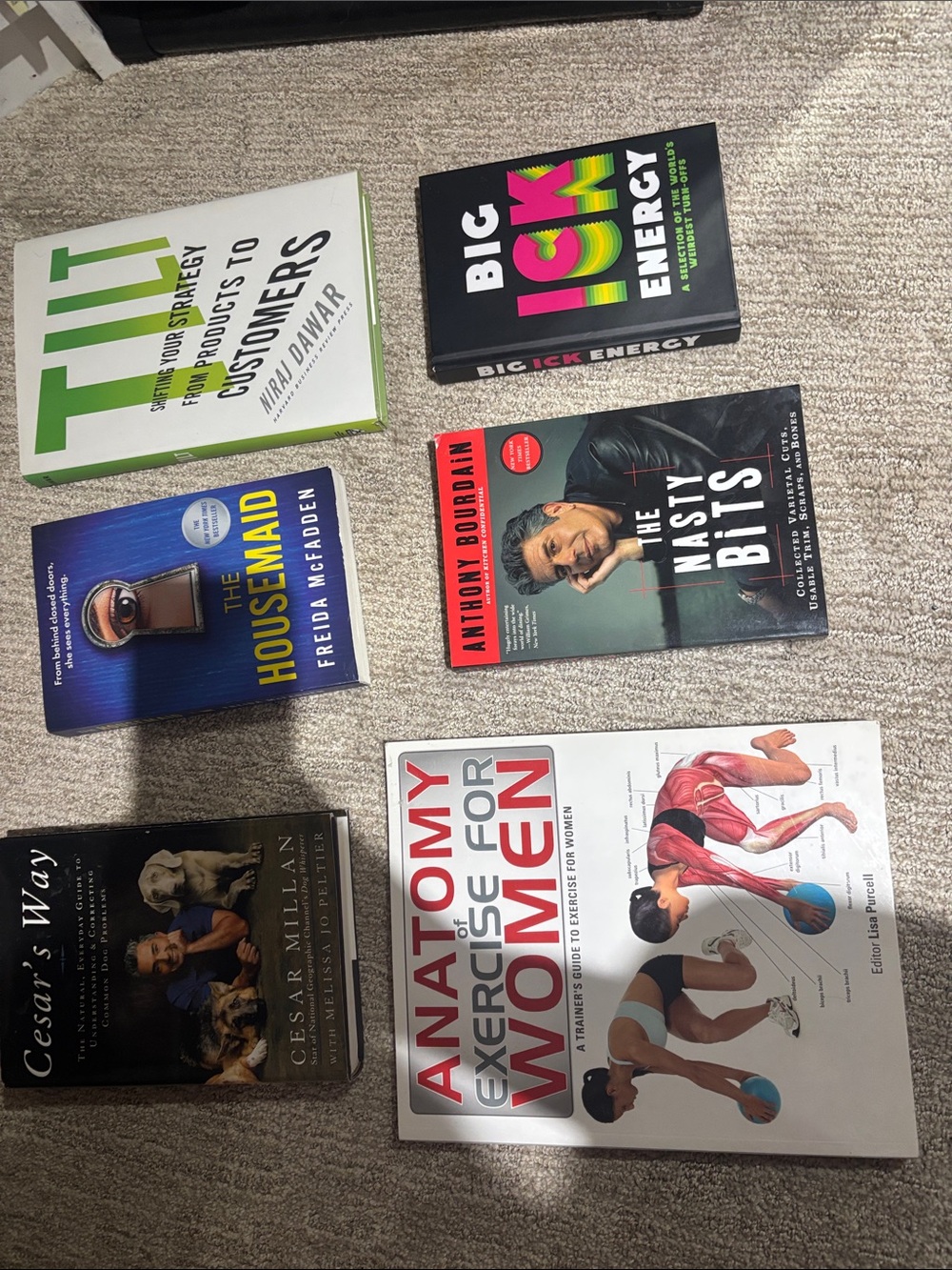 Indigo Multi-Color Book Lot